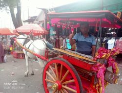 Bendi Merupakan Salahsatu Alat Transportasi Wisata Kota Bukittinggi