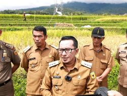 Bupati Tanah Datar Monitoring ke Lereng Gunung Intensitas Erupsi Marapi Meningkat
