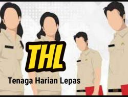 Gawat!!! Inilah OPD THL Nya Melebihi ASN, Angkanya Fantastis