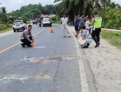 Tabrak Lari, Guru Honorer Tewas Usai Bertabrakan