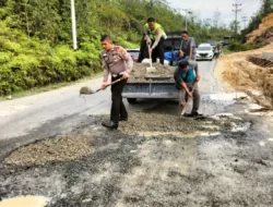 Peduli Keselamatan Pengendara, BKO Lantas Polsek XIII Koto Kampar Timbun Secara Manual Jalan Lintas Nasional Berlubang