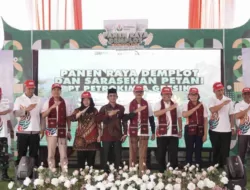 Bersama Dirut PT. Petrokimia Gresik, Bupati Gelar Panen Raya Demplot Phosgreen dan Za Plus Komoditi Padi Nagari Sarilamak