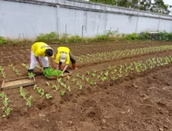 Lapas Kelas IIA Bukittinggi Lakukan Pembinaan Kemandirian bagi WBP