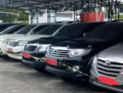 Pemkab Kampar Harus Tarik Modis Ditangan Tidak Berhak Memakai