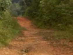 Satu Dusun di Kampar Tidak Berpenghuni, Pindah Karena Ekonomi Susah