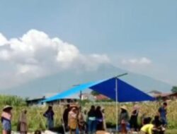 Dinas Pertanian dan Pangan Maju Basamo Kelurahan Koto Selayan