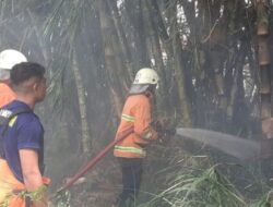 Dinas Damkar Kota Bukittinggi:  Cuaca Panas, Hindari Membakar