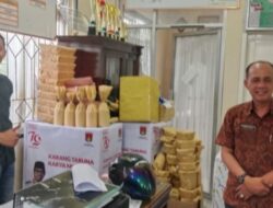 Walikota Bukittinggi Erman Safar Buka secara Resmi
