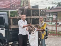 Itik Petelur Siap Dibagikan di Nagari Ampiang Parak Timur