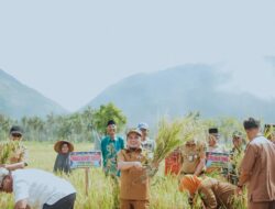 H.Candra Wabub Kabupaten Solok Temu Ramah Dengan Petani