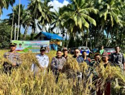 Basawah Pokok Murah”, Inovasi Jon Firman Pandu–Candra untuk Petani Solok Lebih Sejahtera dan Mandiri