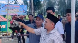 Wakil Bupati Solok Buka Kontes Ayam Kukuak Balenggek di Alahan Panjang Resort.