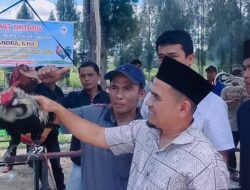 Wakil Bupati Solok Buka Kontes Ayam Kukuak Balenggek di Alahan Panjang Resort.