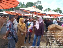 Jelang Iduladha 1446 H, Pemkab Solok Lakukan Pemeriksaan Kesehatan Hewan Kurban
