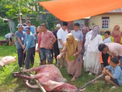 Eka Hariani Sandra : Hari Raya Idul Adha Merupakan Momentum Reflektif Bagi Umat Islam