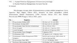 CPNS 2025: Cek Usiamu, Masih Bisa Daftar Formasi Umum? Ini Caranya
