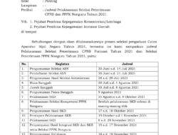 CPNS 2025: Cek Usiamu, Masih Bisa Daftar Formasi Umum? Ini Caranya