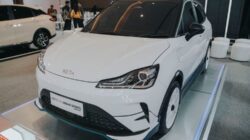 Masih Ada yang Beli, Perusahaan Pesan 100 Unit EV Neta Meski Isu Keuangan Tidak Jelas