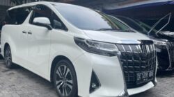 Penurunan Pasar Mobil Listrik Tekan Alphard Akibat Denza D9