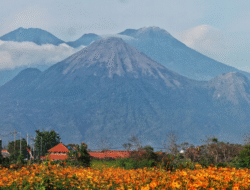 3 Rekomendasi Wisata Alam di Sekitar Gunung Arjuno, Seru Dinikmati Tanpa Mendaki