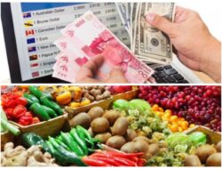 Refleksi Kebijakan Baru BI Menghadapi Ekonomi Global