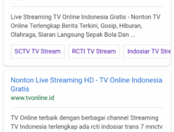 Nonton dan Unduh Episode 13 Nageki no Bourei wa Intai shitai Sub Indo