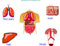 Sistem Biometrik BPJS Dianggap Buruk, DPRD Minta Evaluasi Pemda