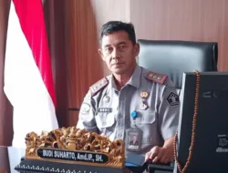 Produktif di Balik Jeruji, Warga Binaan Lapas Lubuk Basung Kejar Target 8.000 Pesanan Atap Rumbia