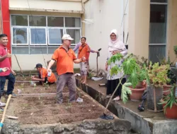Sulap Halaman Kantor Jadi Lumbung Pangan, Cara Unik ASN PUTR Agam Sambut HUT RI ke-81