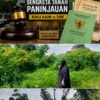 Penggugat Minta Hakim Batalkan Dua SHM Sengketa Tanah Paninjauan, Dinilai Terbit di Luar Kewenangan