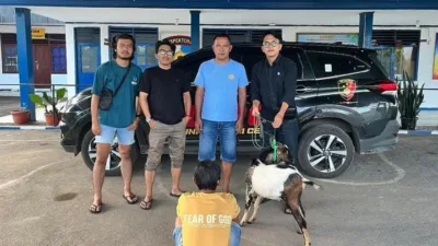 Hukum Polisi Amankan Terduga Pencuri Kambing, Kerugian Korban Capai Jutaan Rupiah