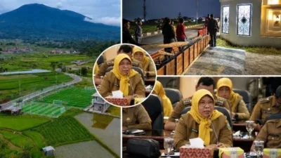 DPRD Padang Panjang: Penegakan RTRW Harus Adil, Jangan Ada Kesan Tajam ke Bawah dan Tumpul ke Atas