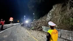 Jalur Padang–Bukittinggi Lumpuh, Longsor di Lembah Anai Tutup Akses Jalan