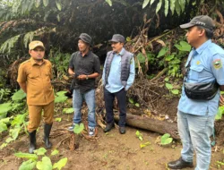 Wabup Solok Tinjau Pembangunan SPAM Bukik Gompong, Target Rampung Akhir Oktober 2026