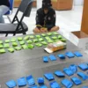 Residivis Tiga Kali Dipenjara Kembali Diciduk, Satresnarkoba Polresta Bukittinggi Sita 62 Paket Sabu
