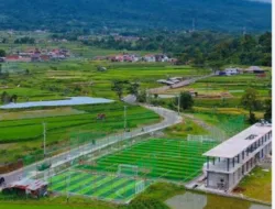 Dua Kali Diperingatkan: Ada Apa di Balik D’Box Arena