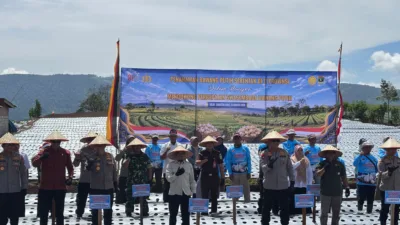 Penanaman Bawang Putih Serentak Nasional Digelar di Kabupaten Solok, Dukung Percepatan Swasembada