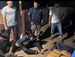 Dua Pria Diduga Bawa Puluhan Paket Ganja Ditangkap di Tilatang Kamang