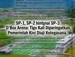 D’Box Arena Disebut Tetap Beroperasi Setelah SP-3, Pemko Padang Panjang Didesak Tegakkan Aturan