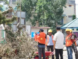 Halaman TMSBK Bukittinggi Ditata, Pemko Siapkan Ruang Publik yang Lebih Nyaman