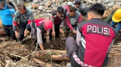 K9 SAR Polda Sumbar Sisir Jalur Air Bah, Bantu Percepat Pencarian Korban Galodo di Solok
