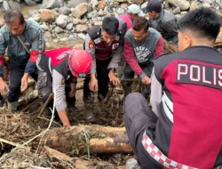 K9 SAR Polda Sumbar Sisir Jalur Air Bah, Bantu Percepat Pencarian Korban Galodo di Solok