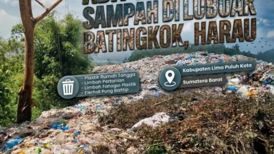 Dinilai Gagal Jadi Kadis Lingkungan Hidup Kabupaten Lima Puluh Kota, Terindikasi Kini Nono Sukri Ambisi Jadi Asisten II Definitif