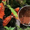 Hilang Hampir Dua Pekan, Remaja 14 Tahun Ditemukan Meninggal di Ngarai Sianok